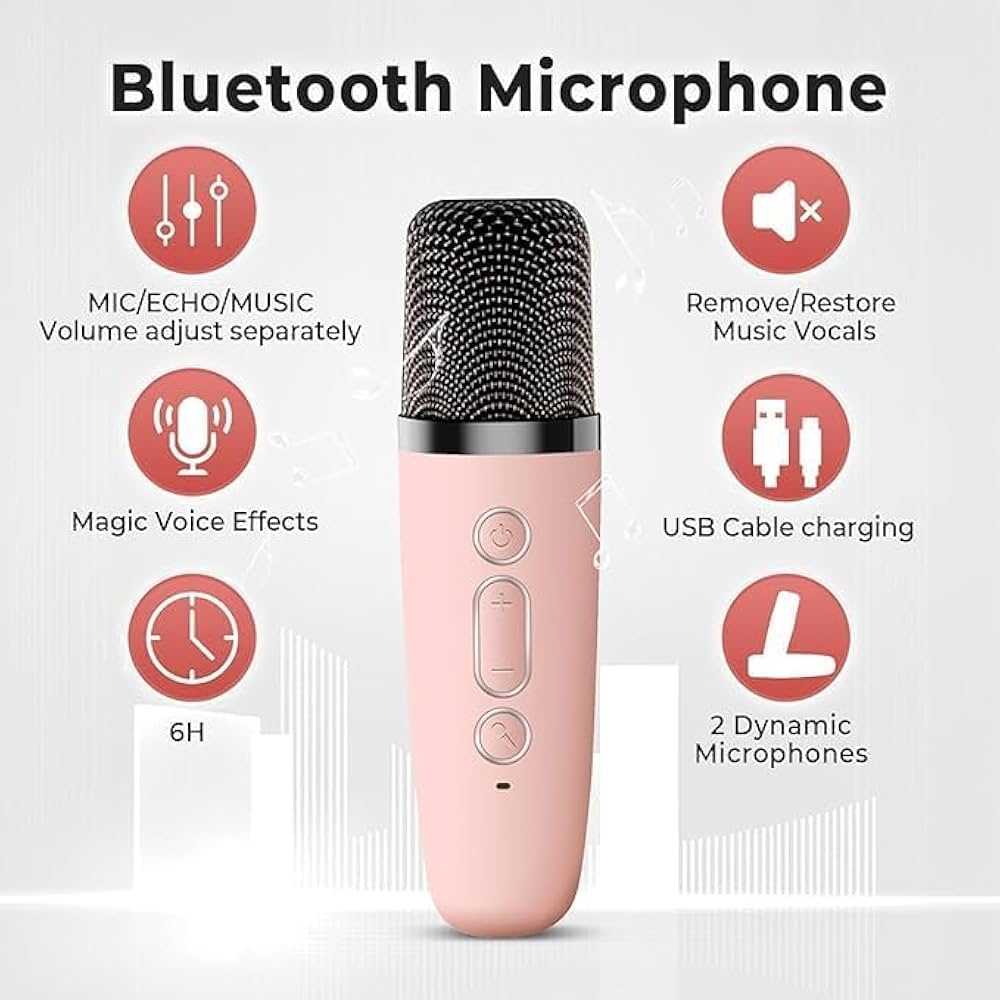 Karaoke Speaker Set