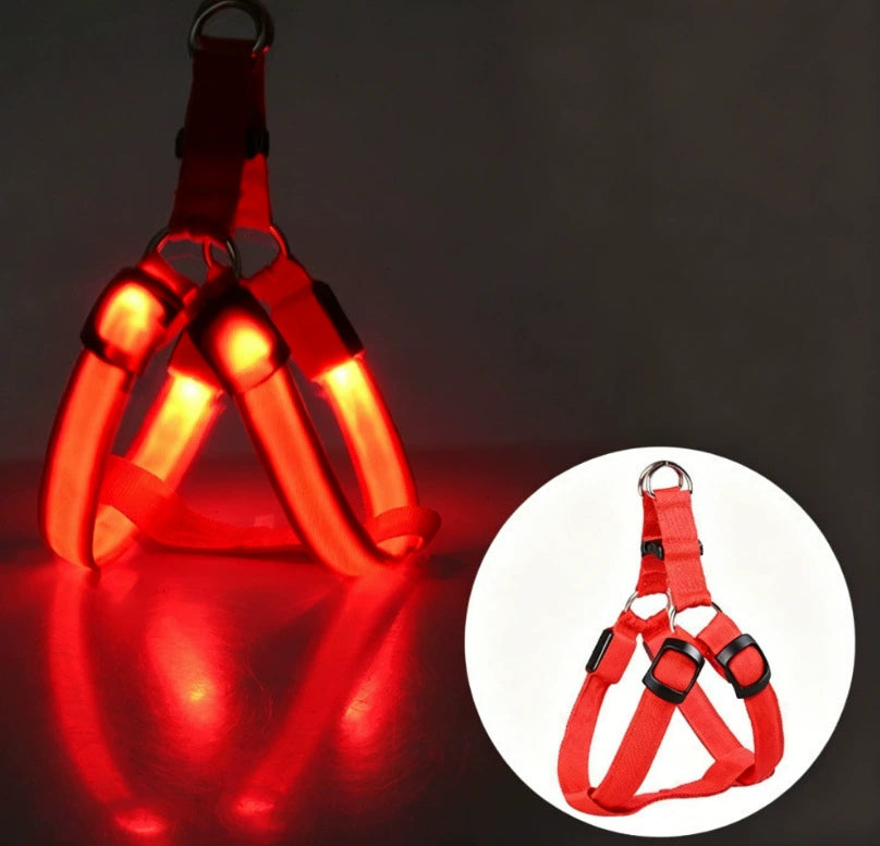 ✨ LED Dog Walking Set – Light Up Every Night Walk