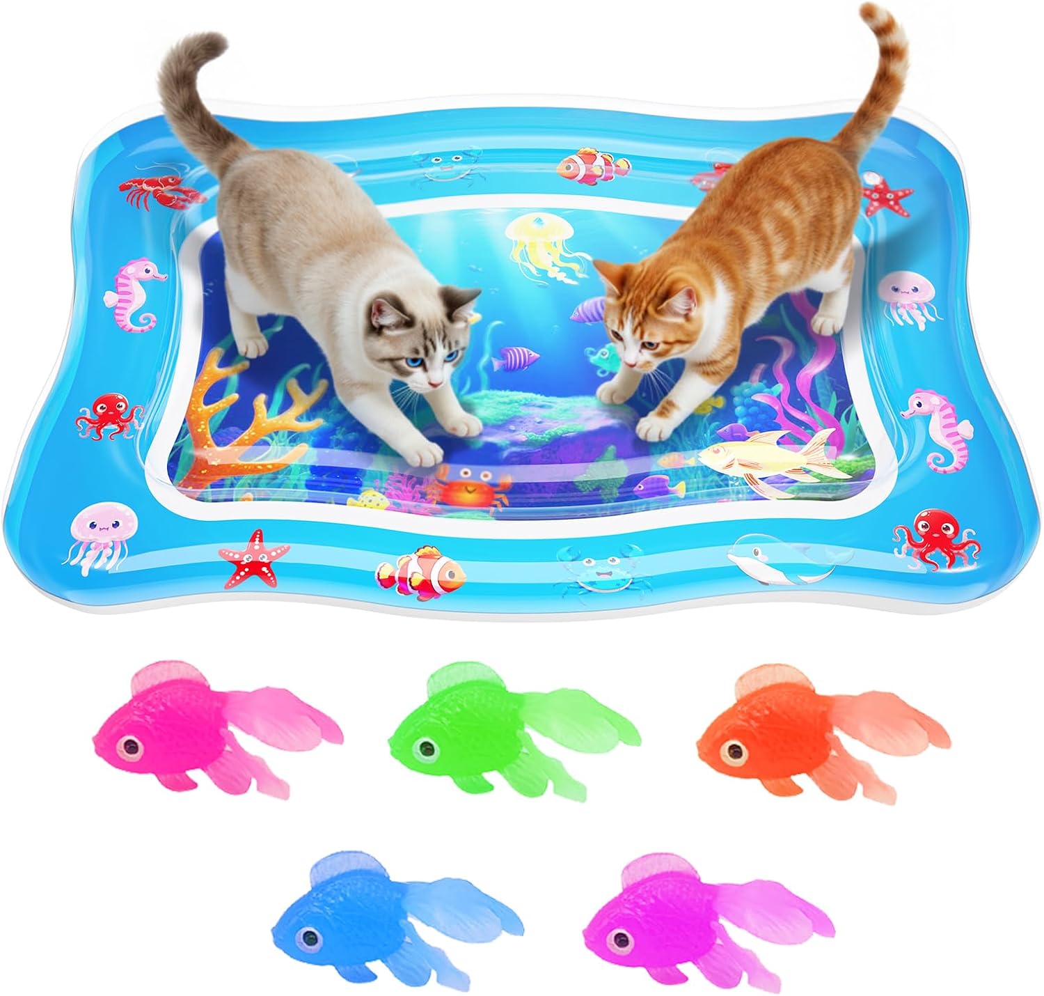 Color Box and Air Pump Set