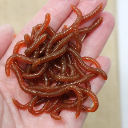 🎣Simulation Earthworm Soft Fishing Lures Shrimp Scented Artificial Worm Baits for Freshwater and Saltwater Pack of 50 or 100