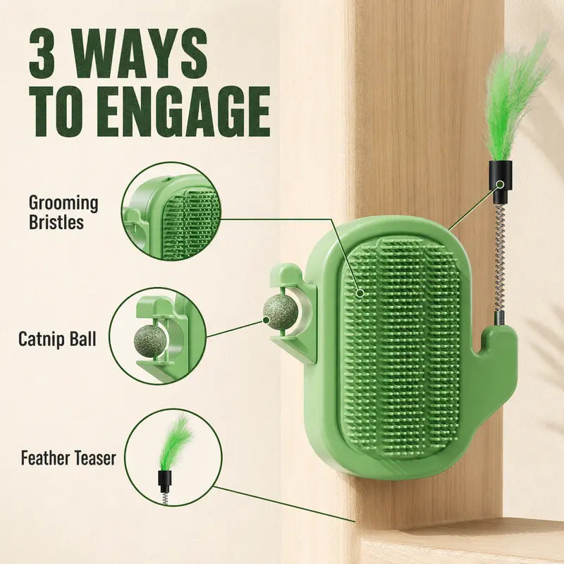 Three ways to engage with grooming bristles catnip ball and feather teaser