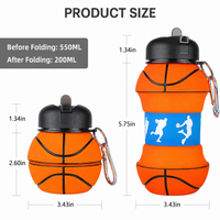 Basketball Bottle