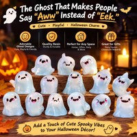 24 Pcs