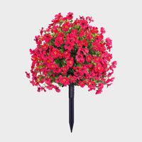 Rose Red