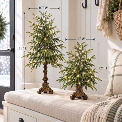 🎄❤️Vintage Lighted Norfolk Pine Trees