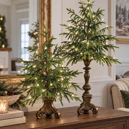 🎄❤️Vintage Lighted Norfolk Pine Trees