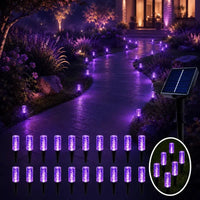 Purple Light
