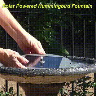🔥Last Day 49% OFF - ⛲🐦Floating Solar Bird Bath Fountain with Multiple Spray Nozzles