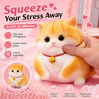 A Ginger Cat