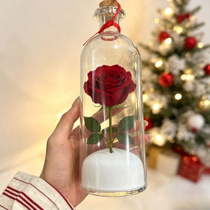 Record Your Voice 🎄 Christmas Tree Message Bottle – 30-Second Keepsake Gift