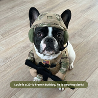 Camouflage
