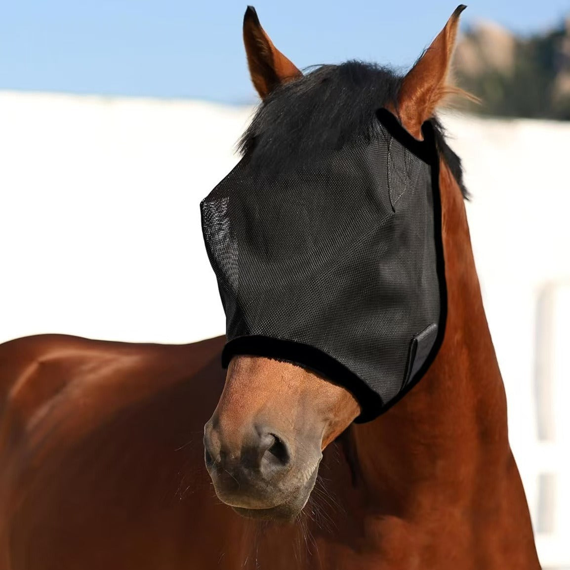 🔥All Round Mesh Horse Fly Mask With UV Protective