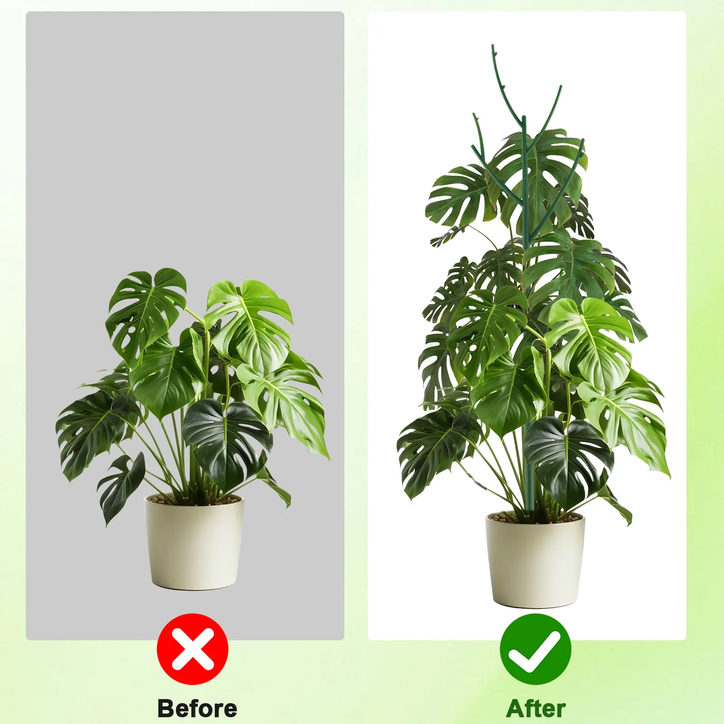 🌿6 Pack Stackable Monstera Plant Support