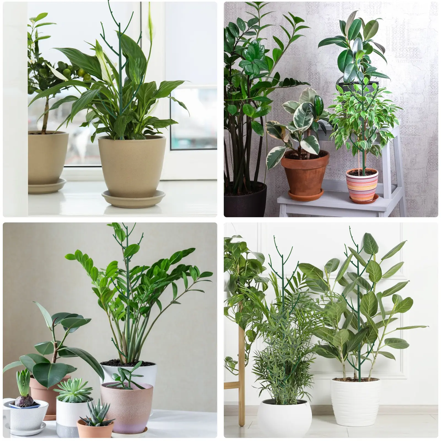 🌿6 Pack Stackable Monstera Plant Support