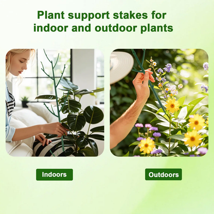 🌿6 Pack Stackable Monstera Plant Support