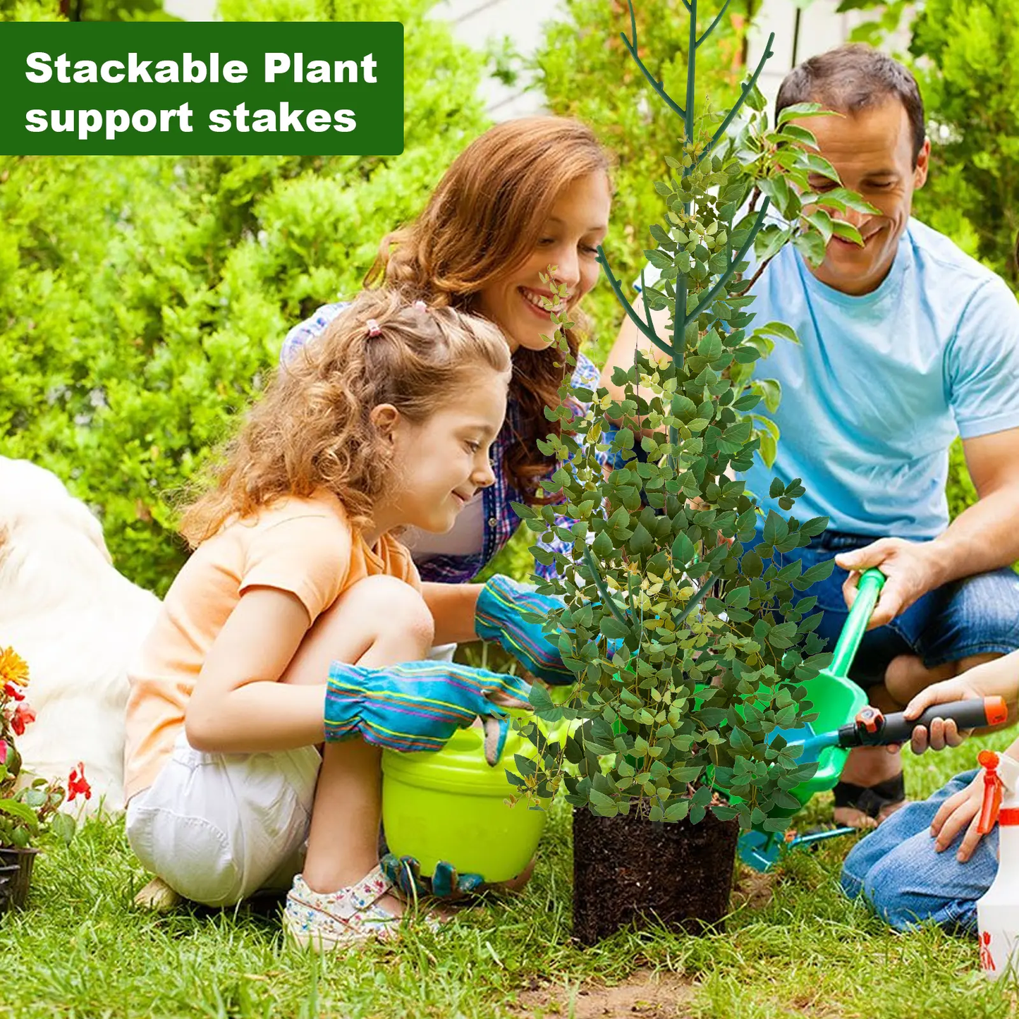 🌿6 Pack Stackable Monstera Plant Support