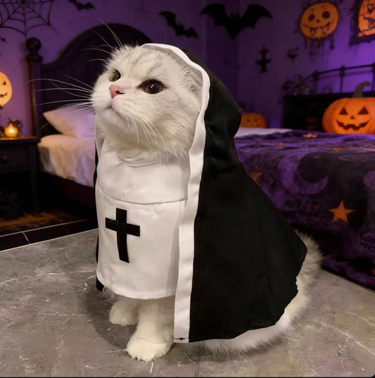 😇 Funny Cat Nun Costume – The Cutest Little Halloween Outfit