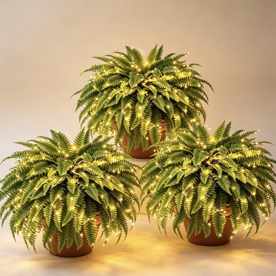 🌿 Glowing Boston Fern with Lights – Zero Water, Zero Mess, 100% Cozy