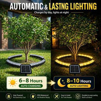 Solar Outdoor Tree Ring Uplights