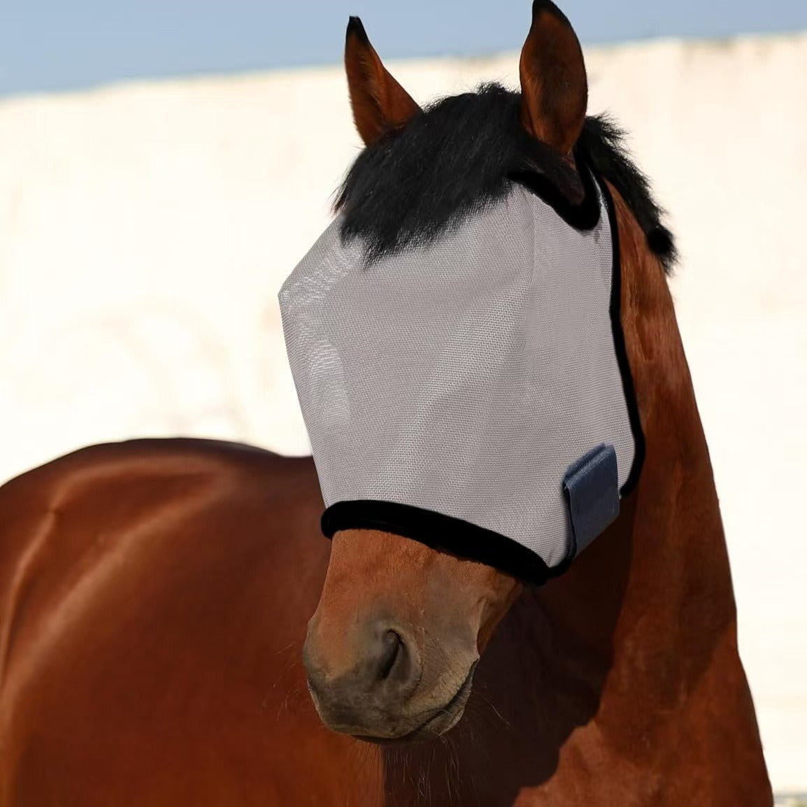 🔥All Round Mesh Horse Fly Mask With UV Protective