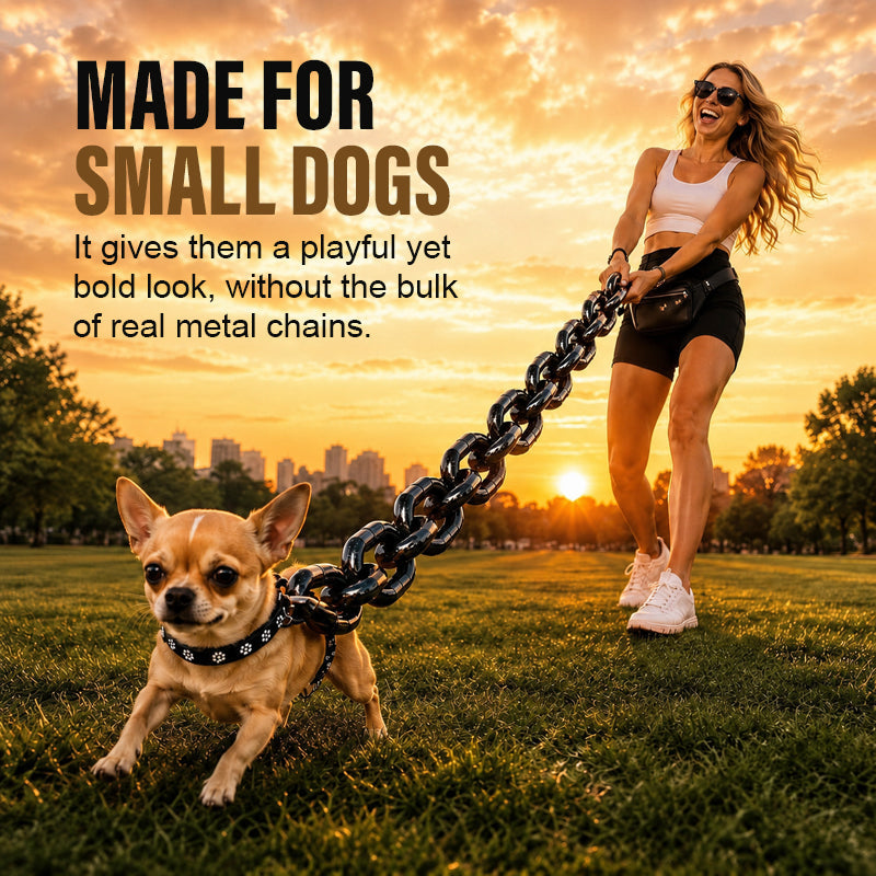 🔗 Oversized Chain-Style Dog Leash – Lightweight Statement Lead for Small Dogs