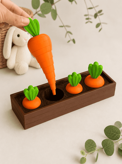 🥕🌽3D Educational Toys for Children