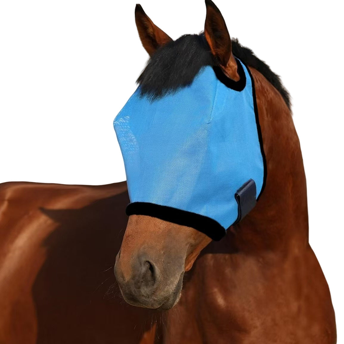 🔥All Round Mesh Horse Fly Mask With UV Protective