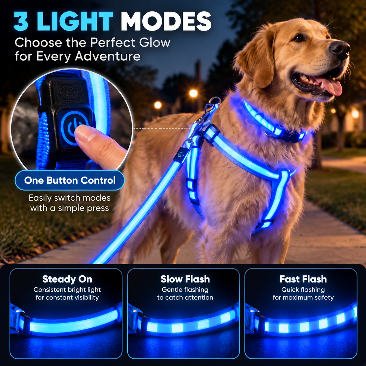 ✨ LED Dog Walking Set – Light Up Every Night Walk