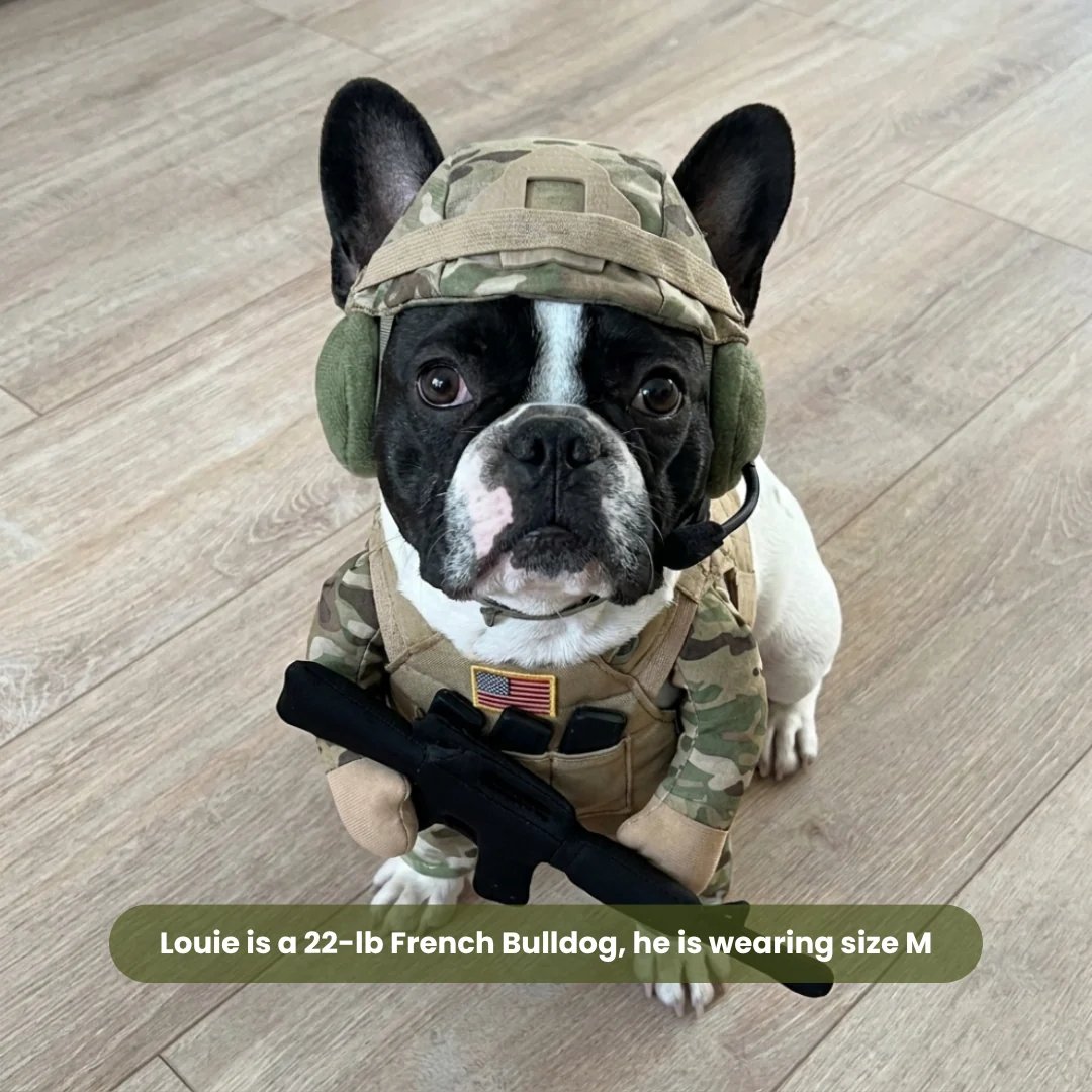 Funny Soldier Dog Costume – The Cutest Little Recruit 🪖
