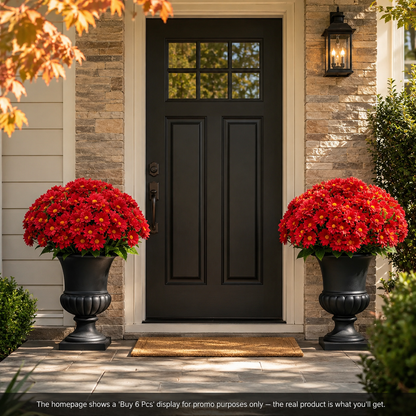 🌼Lifelike Artificial Fall Mums – No-Water Porch & Patio Autumn Flowers