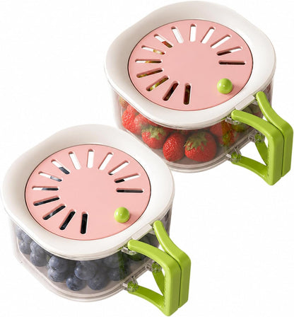 2-in-1 Fruit Vegetable Storage Container