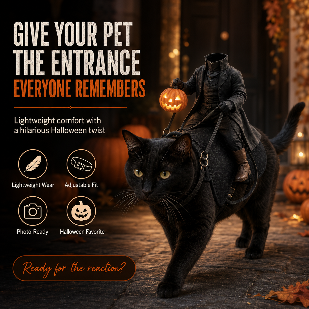 😺The Headless Horseman Rider™ Pet Costume🎃