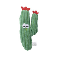 Dark Green Cactus