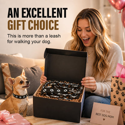 🔗 Oversized Chain-Style Dog Leash – Lightweight Statement Lead for Small Dogs