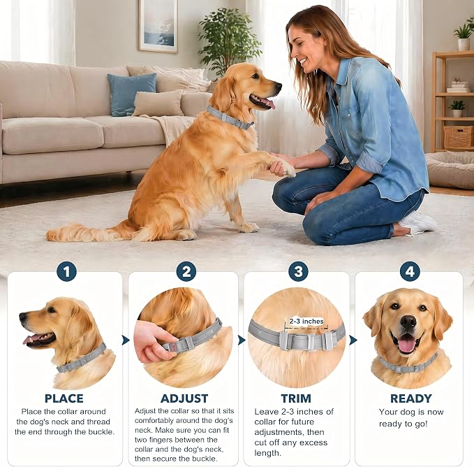 Dog mosquito repellent collar