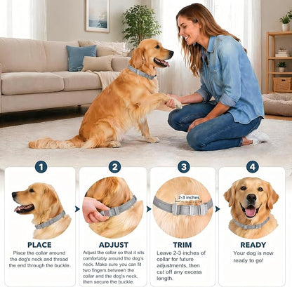 Dog mosquito repellent collar
