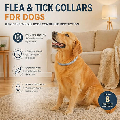 Dog mosquito repellent collar