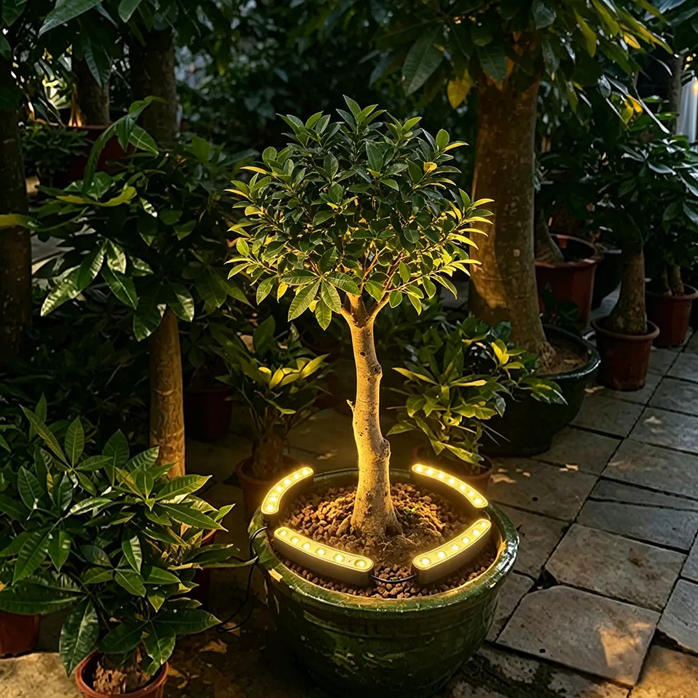 Solar Outdoor Tree Ring Uplights