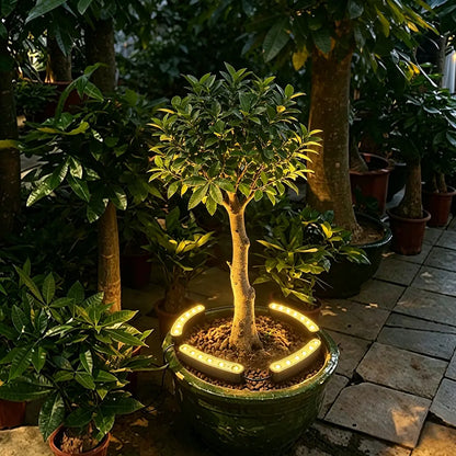 Solar Outdoor Tree Ring Uplights