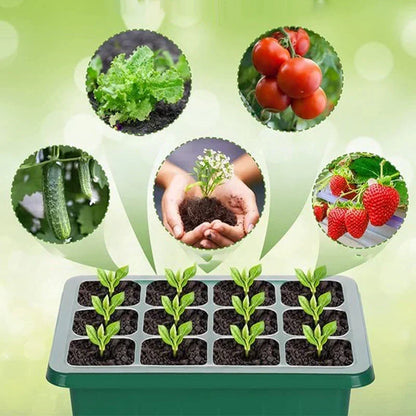 🌱 Seed Starter Trays with Grow Lights – Grow Your Own Little Indoor Garden | 4/5/6-Tray Set