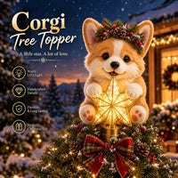 Corgi