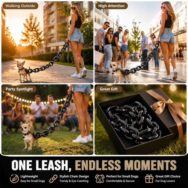 🔗 Oversized Chain-Style Dog Leash – Lightweight Statement Lead for Small Dogs