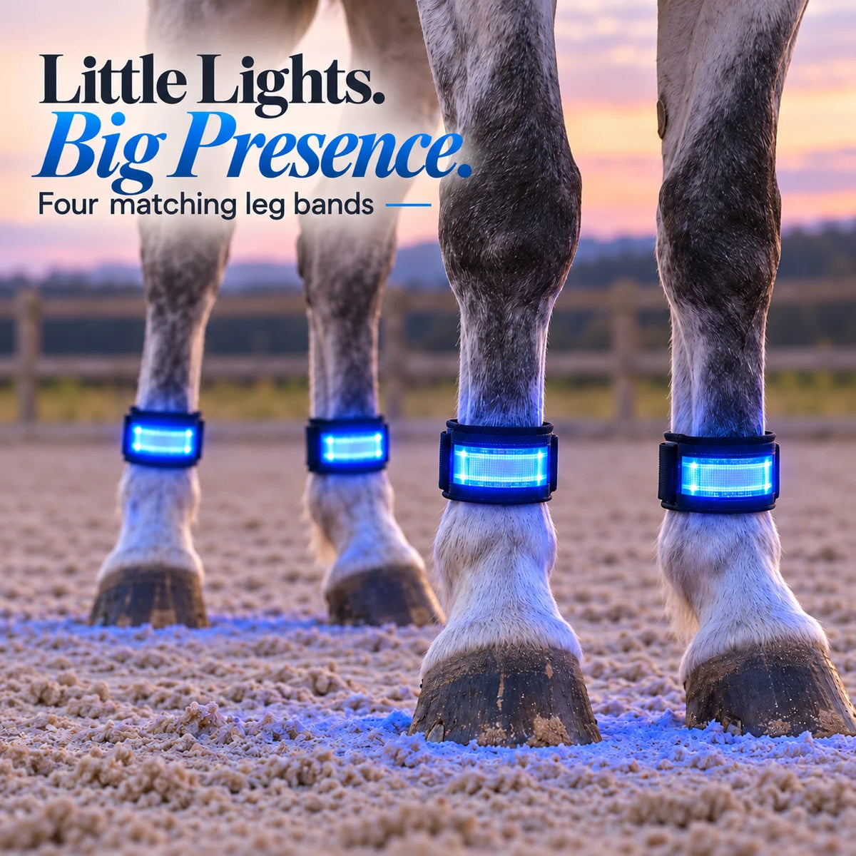 Original product gallery close-up showing the four blue LED leg bands on a horse