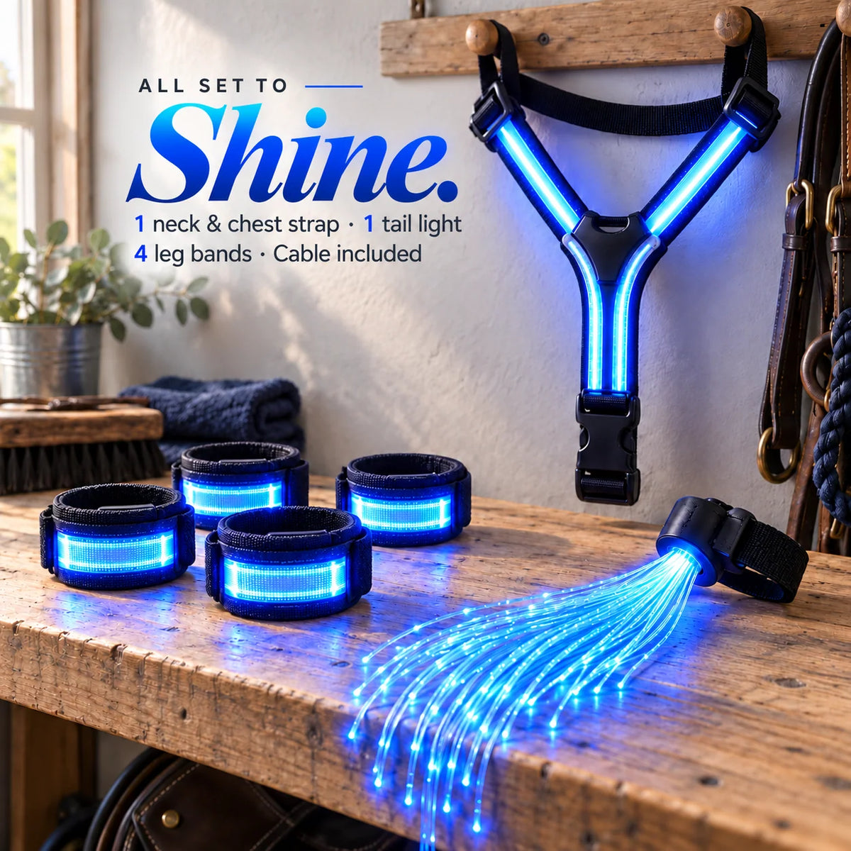 Original product gallery image displaying the blue LED chest strap, four leg bands, tail-light component and cable