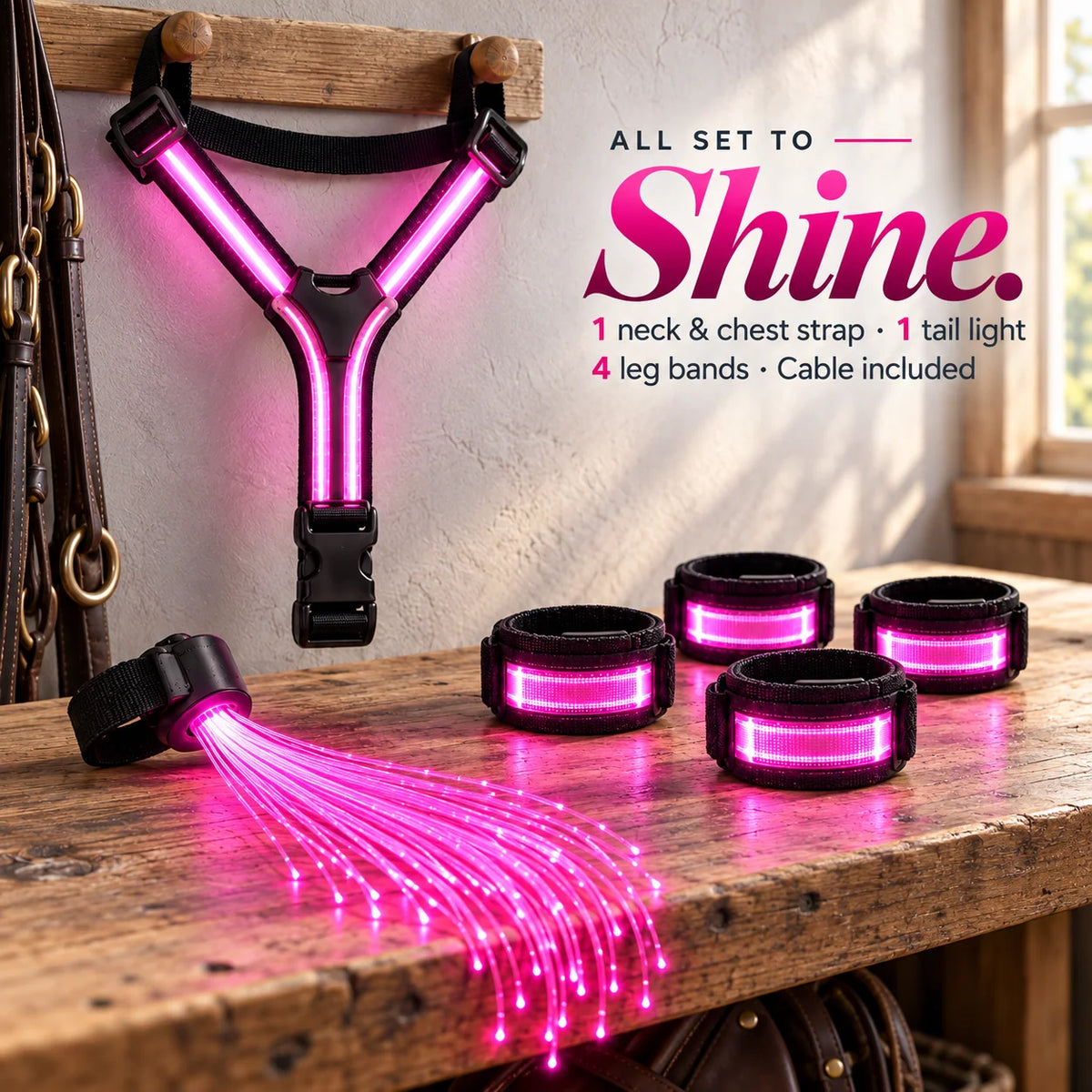 Original product gallery image showing the pink chest strap, four leg bands, tail light and cable