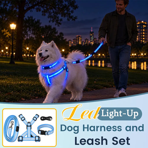 LED Light-Up Dog Harness and Leash Set