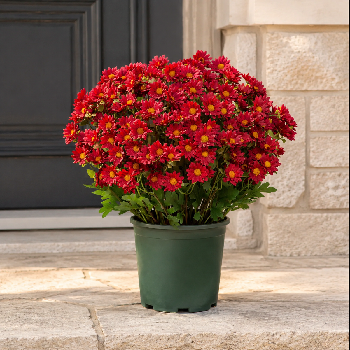🌼Lifelike Artificial Fall Mums – No-Water Porch & Patio Autumn Flowers