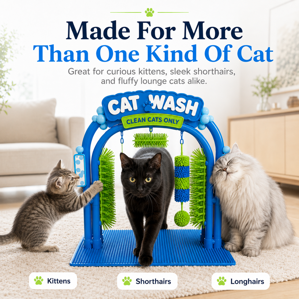 Kitten black shorthair and fluffy longhair cats using grooming station