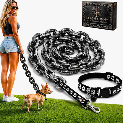 🔗 Oversized Chain-Style Dog Leash – Lightweight Statement Lead for Small Dogs