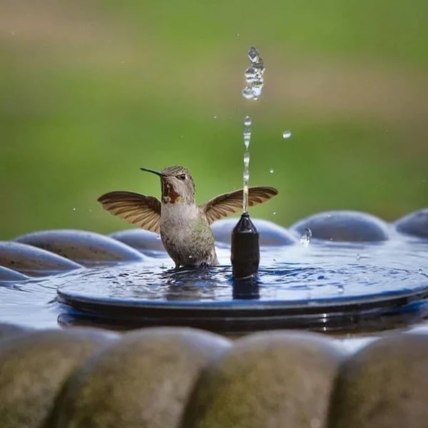 🔥Last Day 49% OFF - ⛲🐦Floating Solar Bird Bath Fountain with Multiple Spray Nozzles